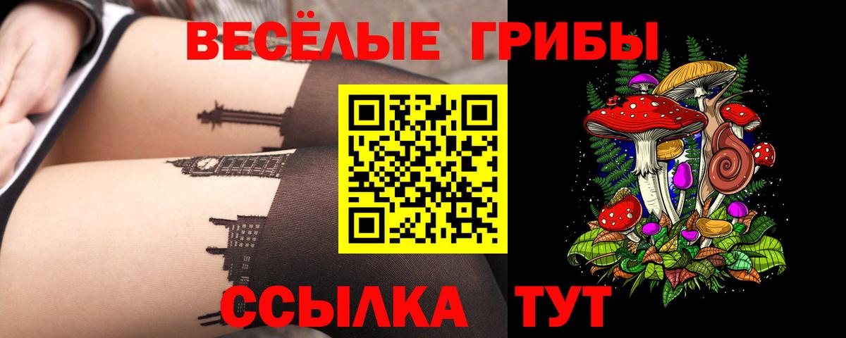 Осинники  Псилоцибиновые грибы GOLDEN TEACHER  Вход с VPN  цены   Псилоцибиновые грибы GOLDEN TEACHER 